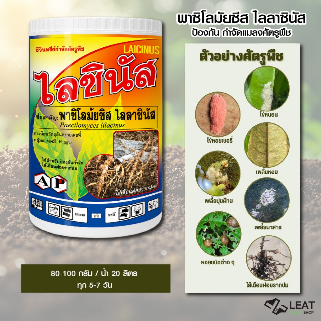 ไลซินัส เชื้อรา พาซิโลมัยซิส ไลลาซินัส ชีวภัณฑ์ ป้องกัน ควบคุม หนอน แมลง 50 กรัม