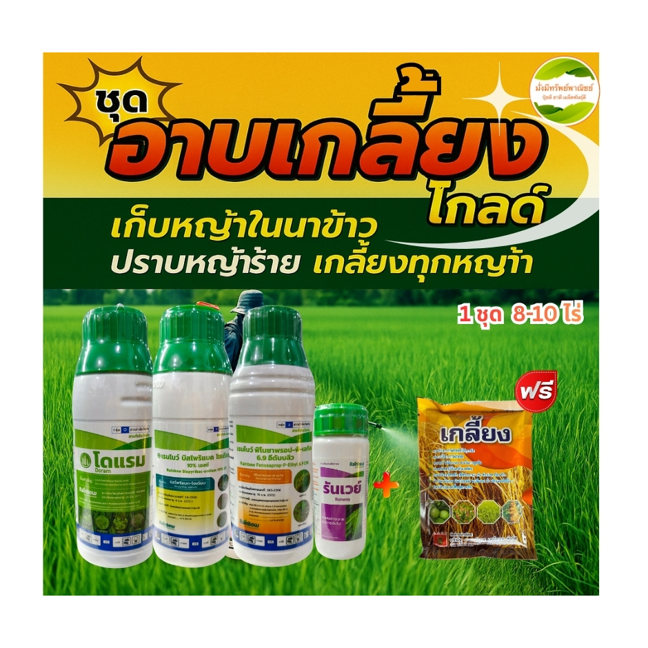 อาบเกลี้ยงโกลด์ ชุดเก็บหญ้าทุกชนิดในนาข้าว 8-10ไร่ สามารถกำจัดวัชพืชได้ทั้งใบแคบ ใบกว้าง เถาเลื้อย และกก