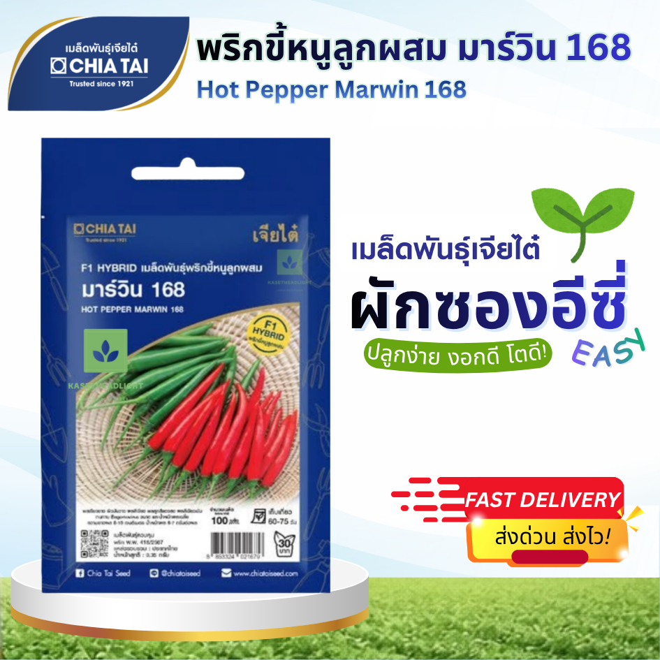 Easy เมล็ดพันธุ์พริกขี้หนู มาร์วิน168 100เมล็ด เจียไต๋ Hot Pepper Marwin 168
