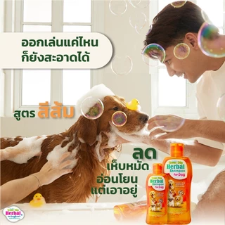 [ 1 ขวด ] แชมพูสุนัข Green Dog Herbal Shampoo สูตรป้องกันและกำจัดเห็บ หมัด ไร แชมพูสมุนไพรสำหรับสุนัข