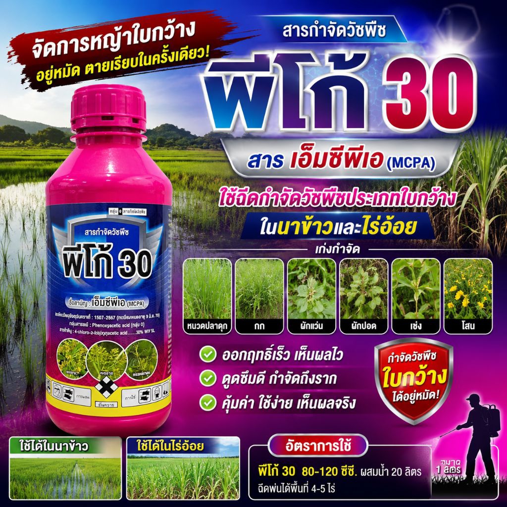 พีโก้ 30(เอ็มซีพีเอ30%) ขนาด 1 ลิตร สารกำจัดวัชพืชใบกว้าง กกและเครือเถา ไอระเหยต่ำ ปลอดภัยต่อพืชปลูก 1ขวดฉีดได้ 10-15 ไร