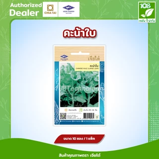 ขายส่ง ยกแพ็ค ผักซองเจียไต๋ (OP) (ชุดที่ 2) เมล็ดพันธุ์ตราเจียไต๋ ผักสวนครัว ราคาถูกสุด(1แพ็ค=10 ซอง)