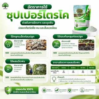 ซุปเปอร์ไตรโค ตราเทพมงคล แพ็ค 2 ซอง ไตรโคเดอร์มาป้องกันกำจัดเชื้อราโรคพืช ขนาด 500 กรัมต่อซอง ชนิดผง