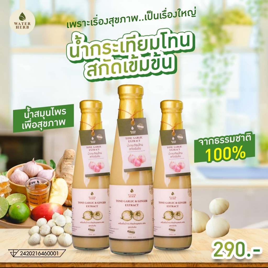Water Herb เครื่องดื่มน้ำกระเทียมโทนผสมขิง สูตรเข้มข้น สมุนไพรธรรมชาติ 100%