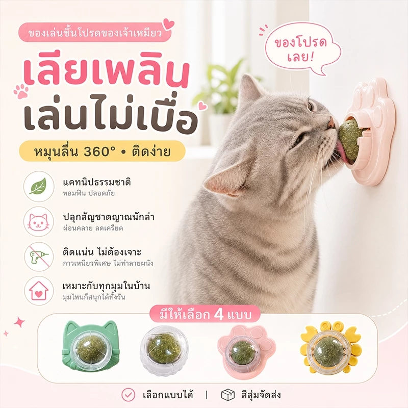 แคทนิปบอล กัญชาแมว หญ้าแมว แคทนิป กันชาแมว แคทนิป แมว กัญชาเเมว แคทนิปแมว catnip แมว ติดกำแพง