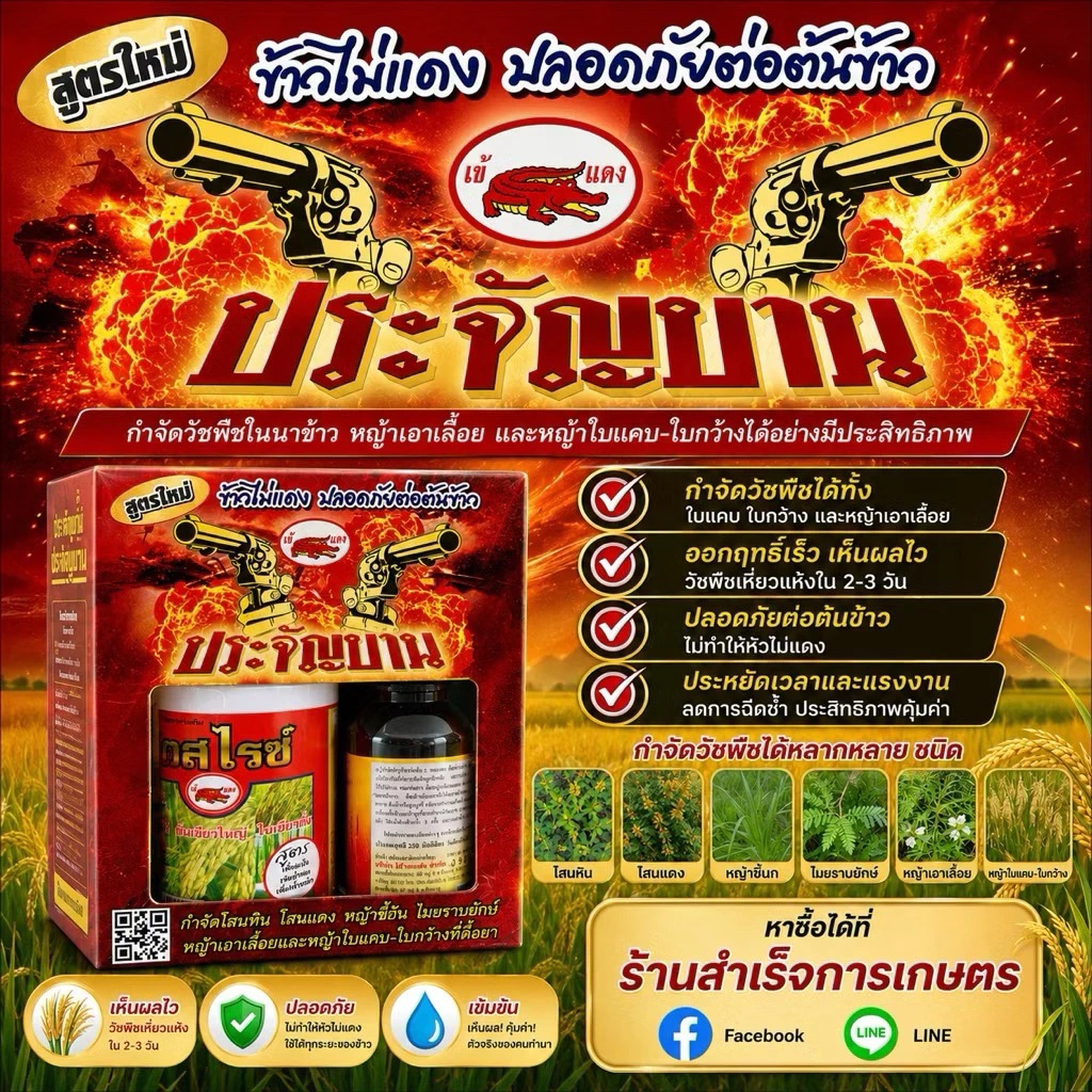 ชุดประจัญบาน 1ชุด ตราเข้แดง กำจัดวัชพืชในนาข้าว
