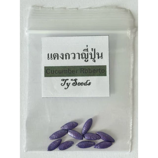 แตงกวาญี่ปุ่น 10 เมล็ด🥒 [10แถม2 คละได้]เมล็ดสมบูรณ์ อัตรางอกสูง