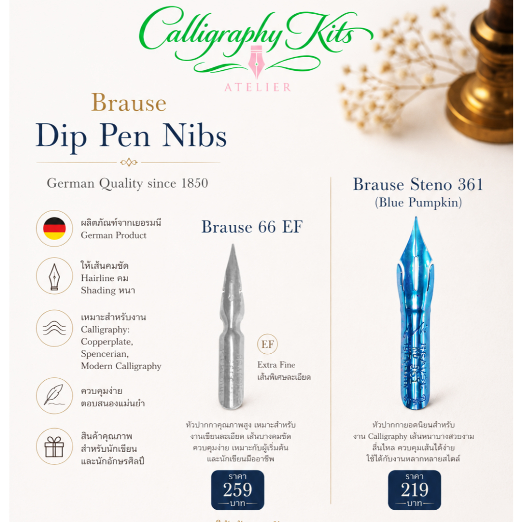 Brause Steno 361, Brause 66EF, Dip pen nib ราคาต่อ 1 ชิ้น