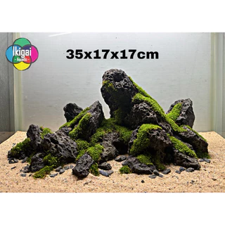 หินจัดตู้ปลา ตู้ไม้น้ำ หินลาวา Lava สร้างเลย์เอ้าท์