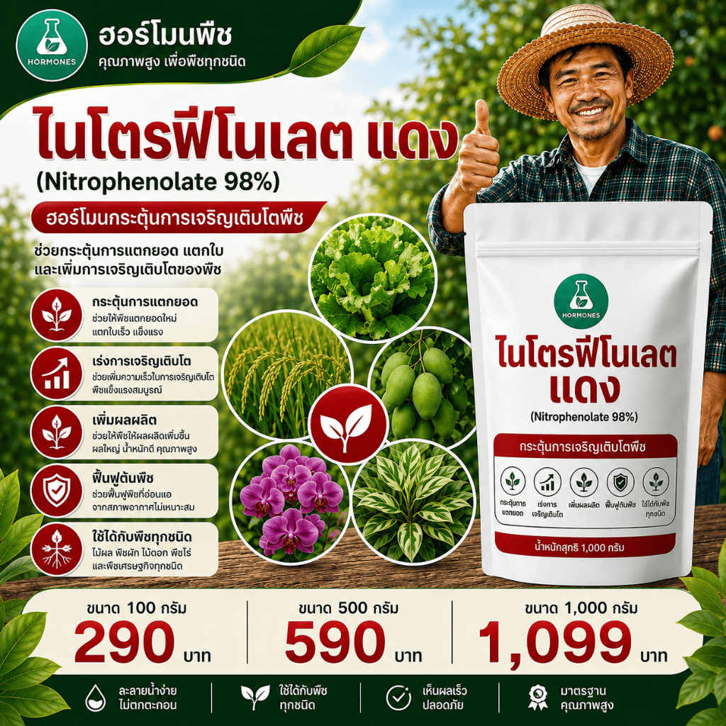 โซเดียม ไนโตรฟีโนเลต 98% #atonik #อโทนิคผง #ไนโตรนิคคอล สีแดง (การเกษตร) ( ไนโตรนิคคอล )
