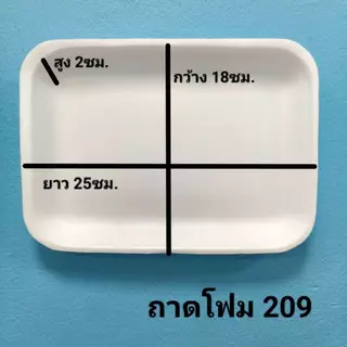 ถาดโฟมใหญ่ 209 204 200 ถาดแพ็ค จานโฟม จานแพ็ค ผักผลไม้ เกรดA .ใส่อาหาร ,เนื้อ สีขาว (1แพ็ค/100ใบ)