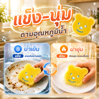 Beary Clean ฟองน้ำล้างจาน 2 ด้าน นุ่ม+ใยขัด ขจัดคราบมัน ไม่เป็นรอย แห้งไว ใช้ได้ทั้งจาน หม้อ และอุปกรณ์ครัว