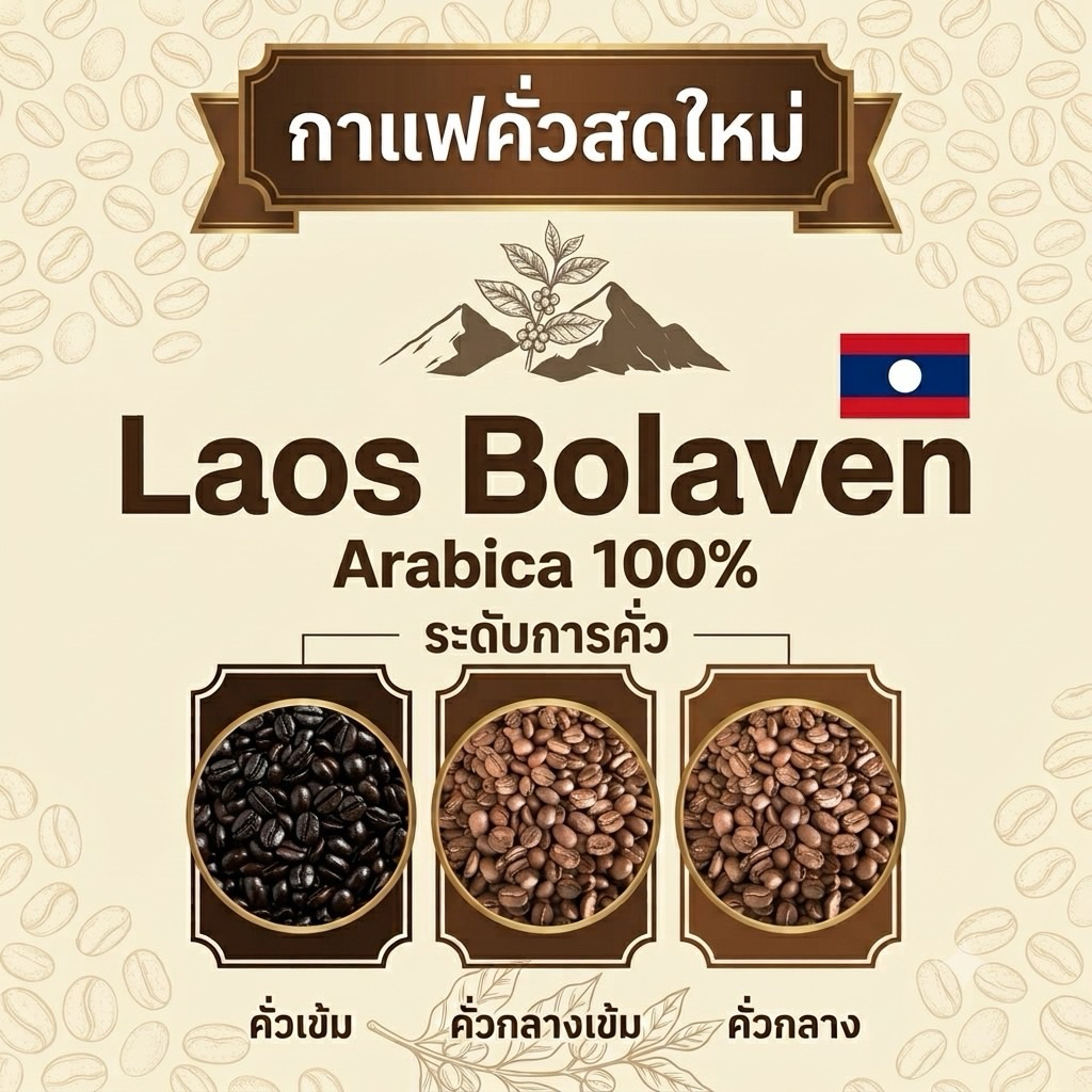 กาแฟลาวโบลาเวน Laos bolaven plateau (washed)