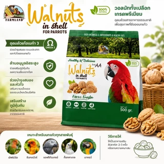 Farmland Walnuts in Shell (500g) Grade AA วอลนัททั้งเปลือกสำหรับนกแก้ว เกรดพรีเมียม สดใหม่ Omega3