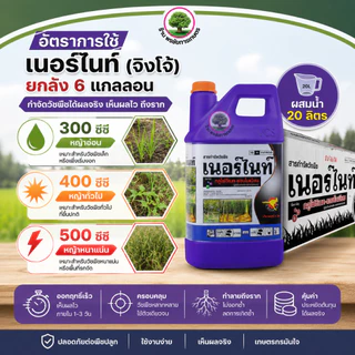 (โปร) เนอร์ไนท์(ม่วง-ยกลัง) ขนาด 4 ลิตร*6แกลลอน