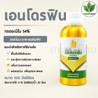 เอนโดรฟิน (อะมิโนเข้มข้นจากอิตาลี) *500 มิลลิลิตร*