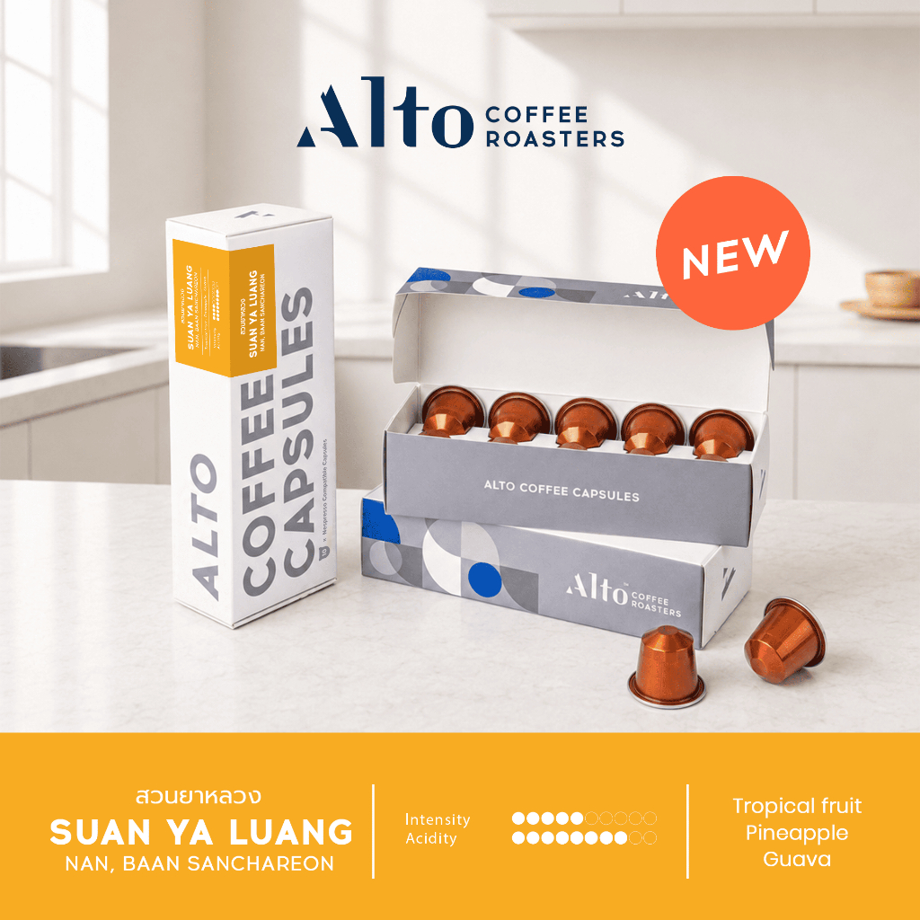 (NEW) Alto Coffee กาแฟแคปซูล สวนยาหลวง Suan Ya Luang, Thailand สำหรับเครื่อง Nespresso (10 แคปซูล)