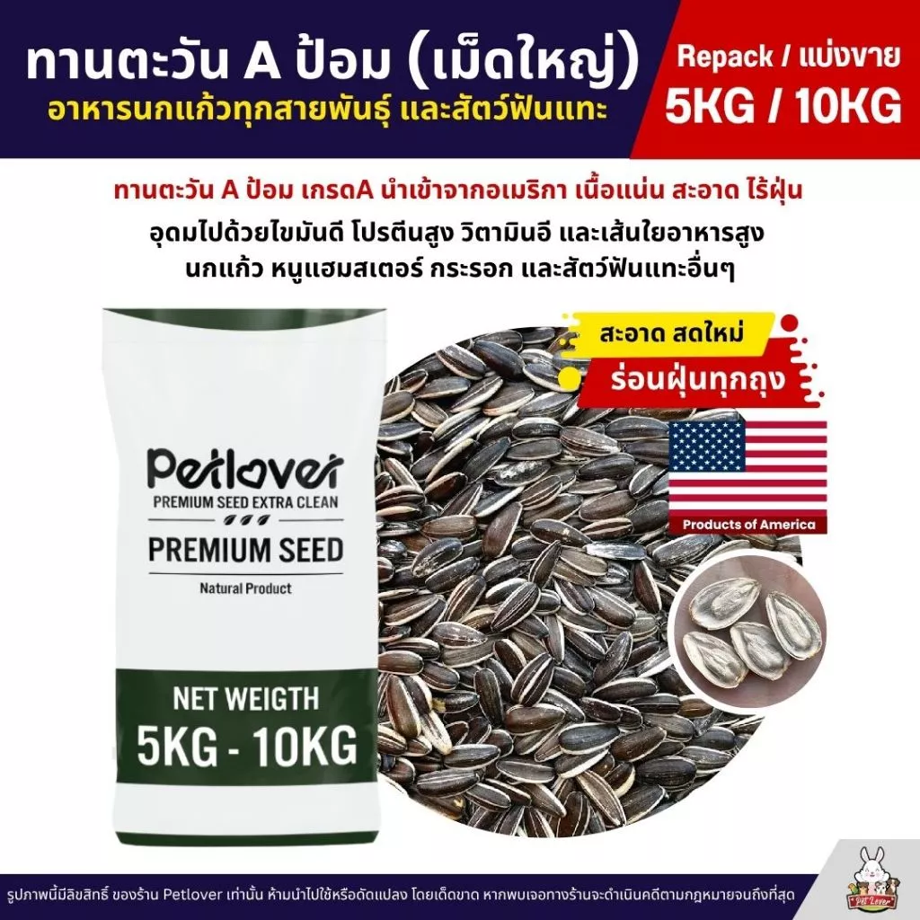 (5KG/10KG) ทานตะวัน Aป้อม เม็ดใหญ่ เกรดA อาหารนกแก้ว และสัตว์ฟันแทะ สด ใหม่ สะอาด ร่อนฝุ่นทุกถุง
