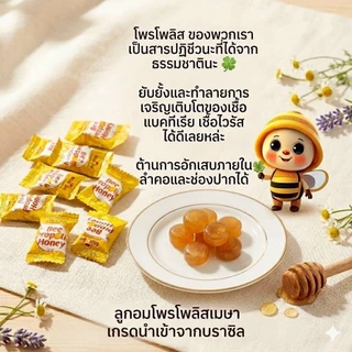 ลูกอมน้ำผึ้งเดือนห้าแท้ 100%โพรโพลิสเกรดนำเข้าจากบราซิล7%พร้อมสมุนไพรธรรมชาติลูกอมน้ำผึ้งโพรโพลิส(Brazil Green Propolis)