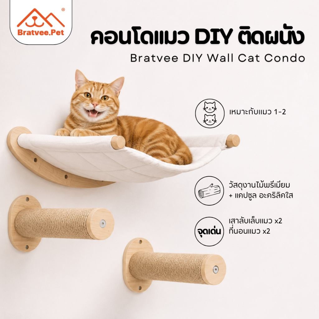 [Bratvee] DIY Condo คอนโดแมวติดผนังแบบ DIY  ไม้จริง เปลแมว ที่ลับเล็บแมว ไม่ต้องเจาะผนัง