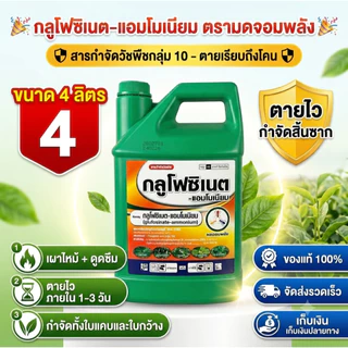 กลูโฟซิเนต-แอมโมเนียม ตรามดจอมพลัง ยาฆ่าหญ้าใบแคบและใบกว้าง #กลูโฟสวีป กลูโฟซิเนต 4 ลิตร