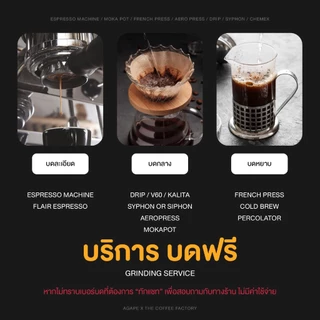 เมล็ดกาแฟคั่วกลาง อาราบิก้าไทย 100% (Caramel) ถุงใหญ่คุ้มกว่า เชียงราย คั่วใหม่ บดฟรี 500g