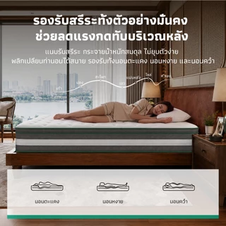 Novilla ที่นอนยางพาราแท้ 6 ฟุต รุ่น IceMint สปริงพ็อกเก็ต ผ้าไหมเย็น ระบายอากาศดี รองรับกระดูกสันหลัง บรรเทาปวดหลัง