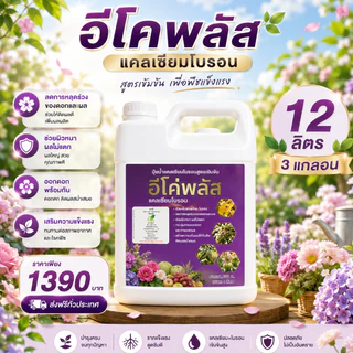 อีโค่พลัส แคลเซียมโบรอน (3แกลอน) เพิ่มการผสมเกสร ลดการหลุดร่วงของผล ลดปัญหาผลแตก (ขนาด4ลิตร 3แกลอน)