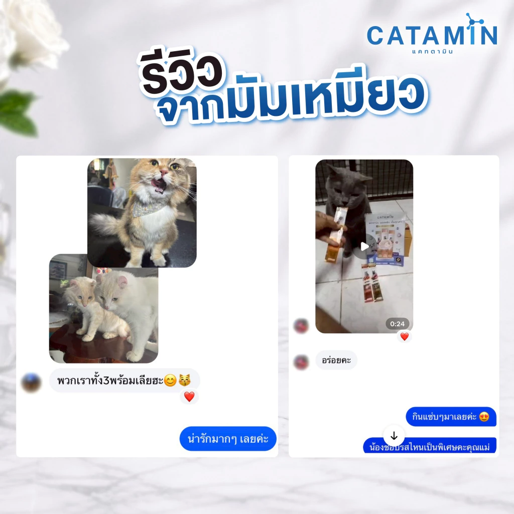 CATAMIN วิตามินแมวเลีย สูตร บำรุงขนและผิวหนัง 1 กล่อง(30ซอง) thumbnail 5