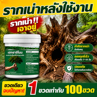 🍂5 เท่า🍂ยาฆ่าหญ้า ยาฆ่าต้นไม้ใหญ 500g ยาฆ่าตอไม้ ตรงไปที่ราก ยาฆ่าตอไม้ ไม่เป็นอันตรายต่อดิน กำจัดต้นไม้ กำจัดวัชพืช