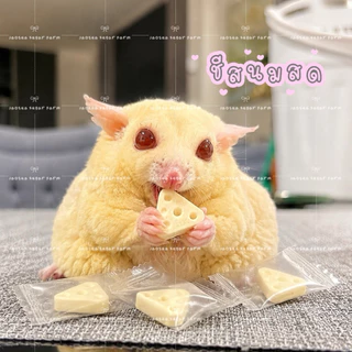รวมชีส ham ham bakery ชีสเบอร์รี ชีสนมสด ชีสเค้ก ชีสฮอกไกโด ชีสอัดเม็ด ฉีดพุดดิ้ง มินิชีส
