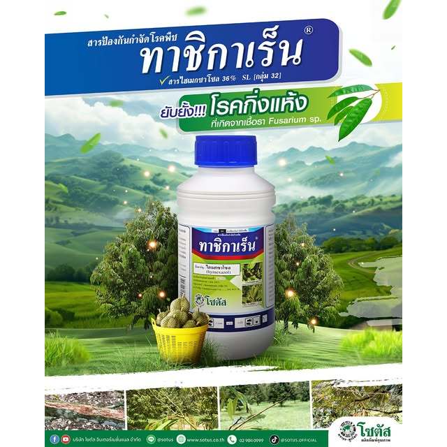 ทาชิกาเร็น 100ซีซี ไฮเมซาโซล (hymexazol) กำจัดโรคโคนเน่าได้เด็ดขาด และช่วยส่งเสริมการเจริญเติบโต (ชัยฟ้าเกษตรภัณฑ์)