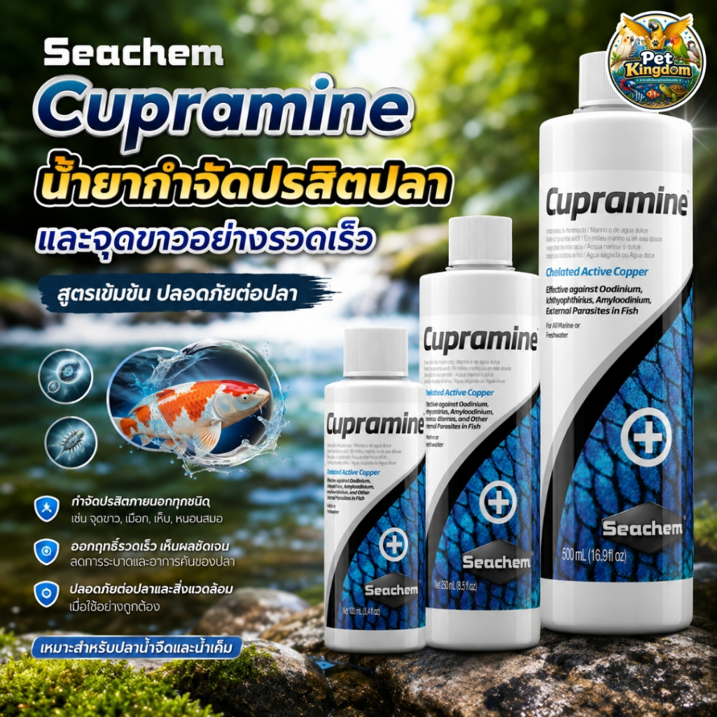 Seachem Cupramine น้ำยากำจัดจุดขาวอย่างรวดเร็ว กำจัดปรสิตบนปลา สูตรเข้มข้น ปลอดภัยต่อปลา