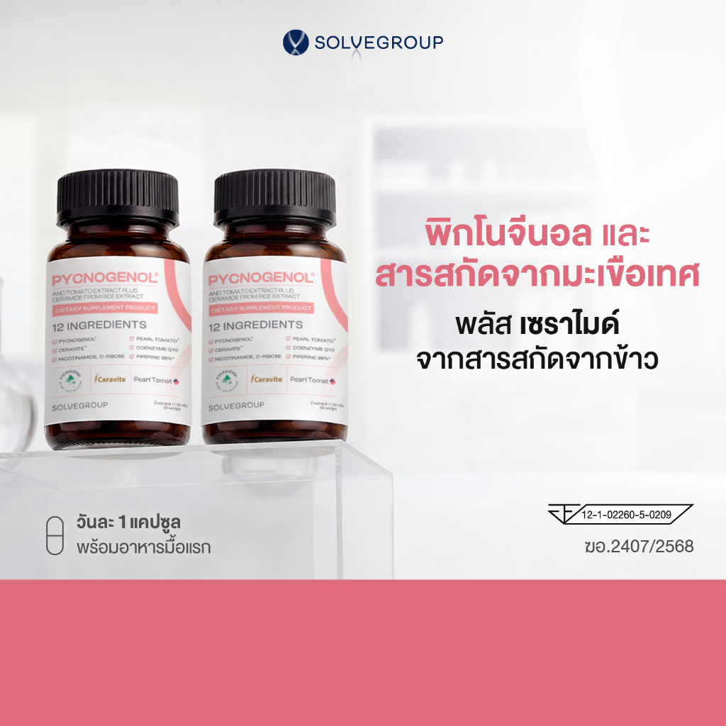 พิกโนจีนอล และสารสกัดจากมะเขือเทศ พลัส เซราไมด์ จากสารสกัดจากข้าว Solve Pycnogenol 2 กระปุก