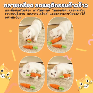 แครอท ของเล่นแมว สีสันสดใส ของเล่นสำหรับสัตว์เลี้ยง ของเล่นแบบขัดฟัน ลับเล็บแมว cat toy พร้อมส่ง