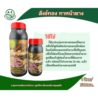 สังข์ทอง ขวดใหญ่ ยาทาหน้ายาง สูตรเข้มข้น สำหรับยางตายนึ่ง / ยางอายุ 15 ปี+ เพิ่มน้ำยาง ยางก้อน ยางพารา [3040]