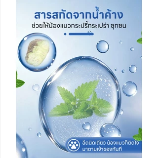 Whisker สเปรย์ผ่อนคลายสำหรับสัตว์เลี้ยง สารสกัดจากผลกอลล์ ช่วยปลอบประโลมอารมณ์ ทำให้แมวผ่อนคลาย เพิ่มความสนุกสนาน