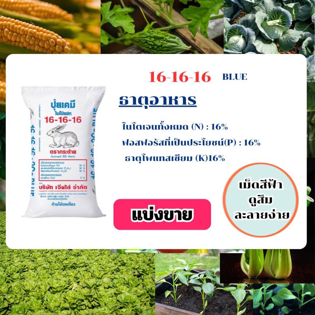 ((ของแท้ 100%))ปุ๋ยตรากระต่าย สูตร 16-16-16BLUE แบ่งขาย+พร้อมส่ง
