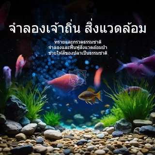 หินตกแต่งตู้ปลา หินแม่น้ำธรรมชาติ คละสี หลายขนาด 4-20mm น้ำหนัก 200/250/500กรัม รองพื้นตู้ปลา ตกแต่งกระถางต้นไม้ สีติดทน