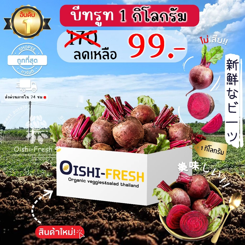 🛒Oishi-Fresh🥬บีทรูท ปลอดสารพิษ 1 กก. รสชาติกรอบ สด ใหม่ ใยอาหารสูง หวานออร์แกนิค ผัก เคลมได้ 1-2 วัน