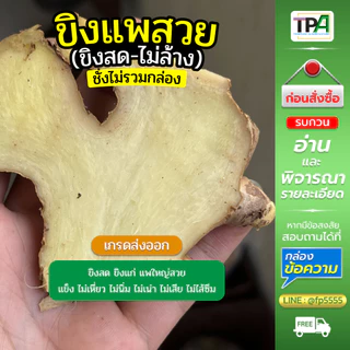 ขิงแพสวย - ขิงสดไม่ล้าง (Fresh Ginger) 1, 2, 3, 4, 5 กก./ KG. เกรดส่งออก เก็บห้องเย็น สินค้าไทย