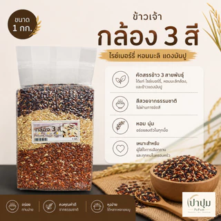 ข้าวกล้องเพื่อสุขภาพ ข้าวไรซ์เบอร์รี่ / ข้าวสังข์หยด พัทลุง / ข้าวสินเหล็ก (1 kg) 10 ชนิด