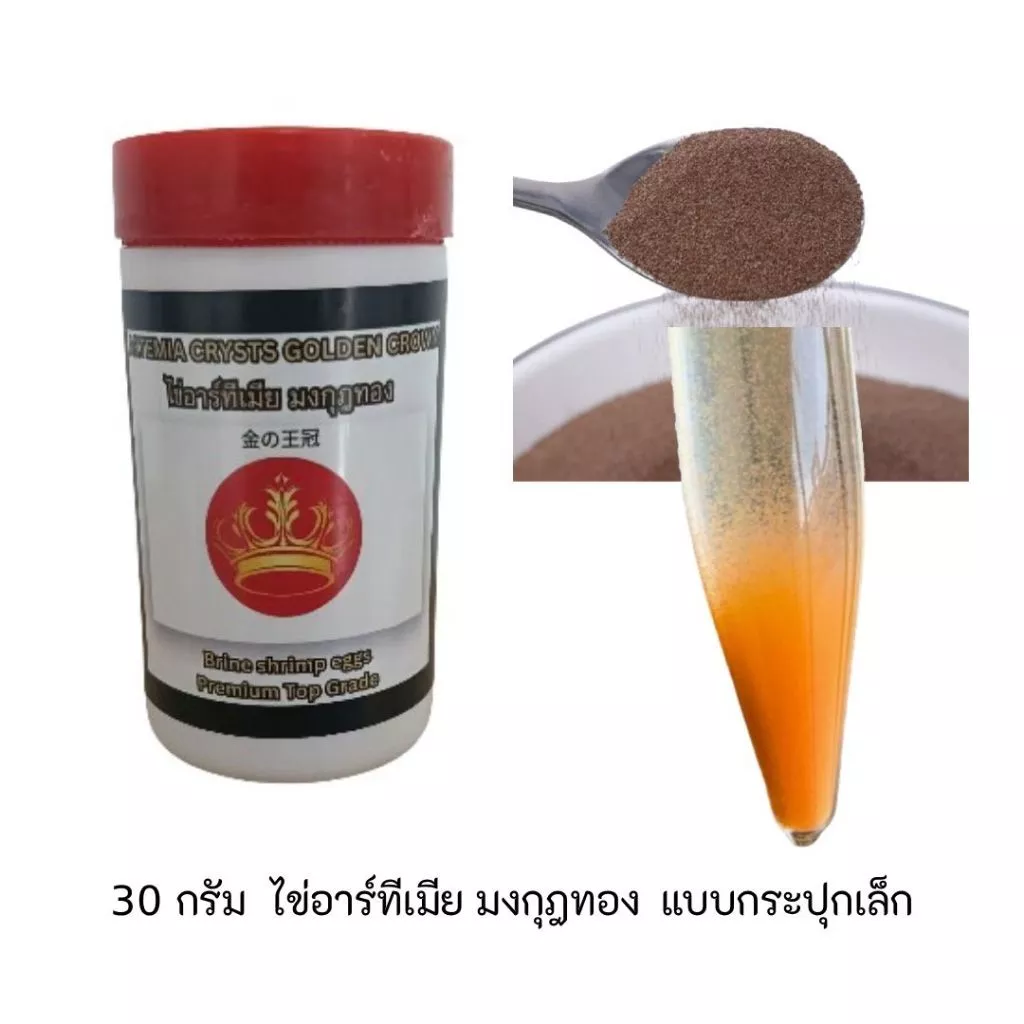 พิเศษ 30 กรัม อาร์ทีเมีย มงกุฎทอง Artemia cycst golden crown