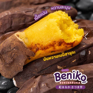 Beniko มันหวานญี่ปุ่น เบนิฮารุกะ ยกลัง 3 กก. (ไม่รวมกล่อง) สายพันธุ์ยอดนิยมจากญี่ปุ่น