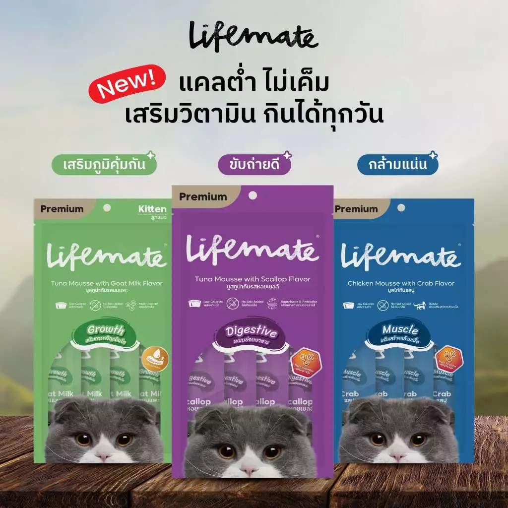 ขนมแมวเลีย Lifemate Cat Mousse Creamy กล่องละ 25 ซอง (อายุสินค้าน้อยกว่า 3 เดือน) เลือก Lot วันหมดอายุไม่ได้