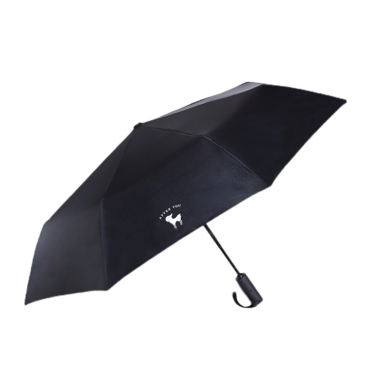 After You Black Umbrella - ร่มสีดำ