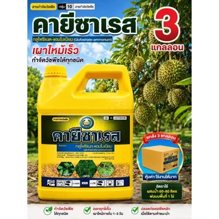 คายีซาเรส ขนาด 4 ลิตร เซท 3 แกลลอน
