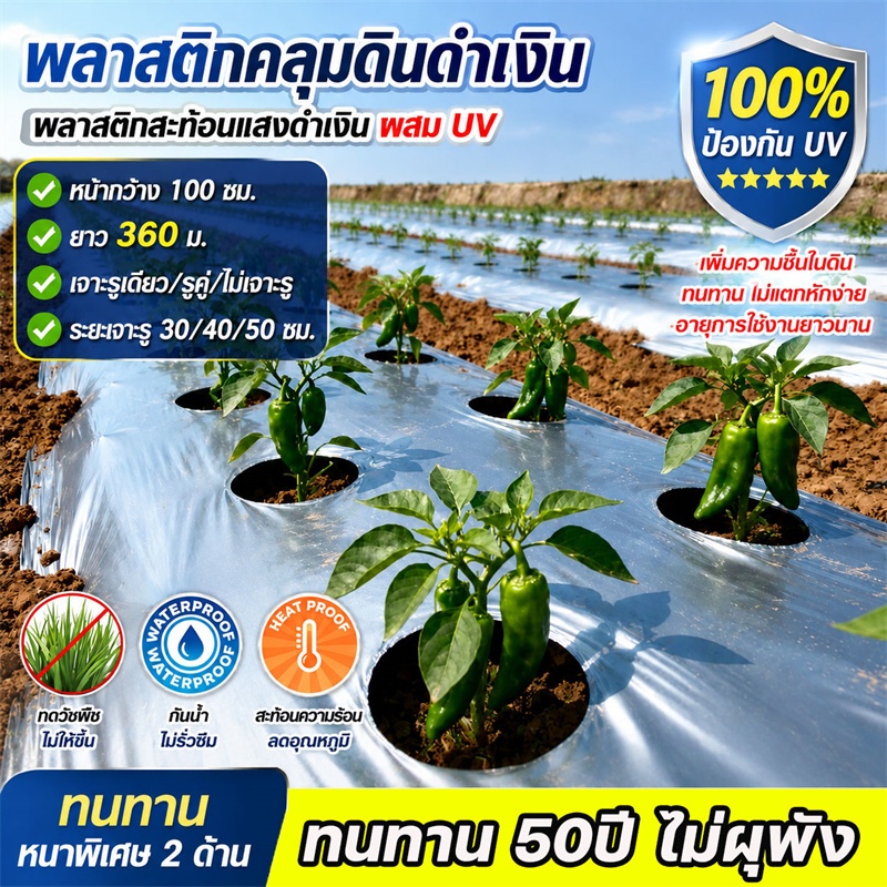 ☀️พลาสติกคลุมดิน 1ม.x360ม ดำเงิน ผสมUV  ผ้ายางคลุมดิน พลาสติกคลุมดินสีดำเงิน ผ้ายางคลุมวัชพืช