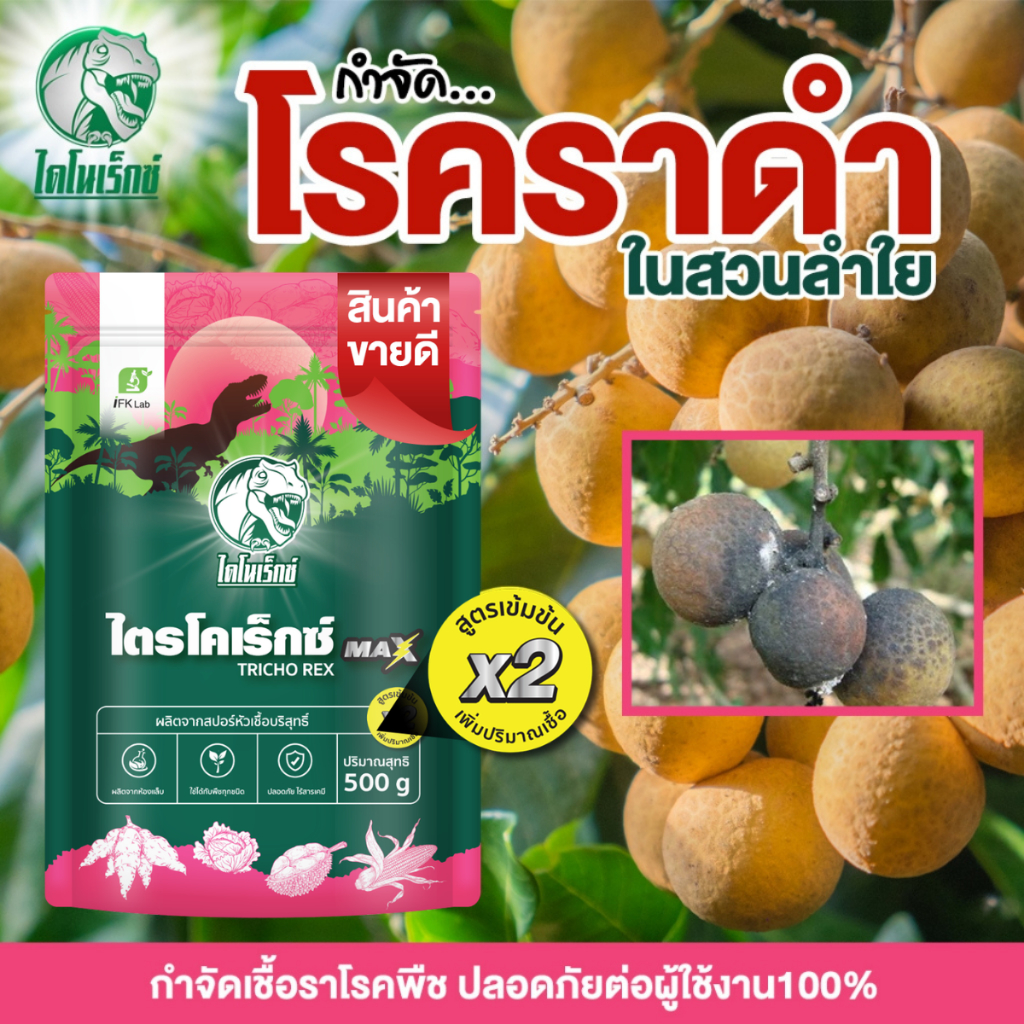 [ไตรโคเร็กซ์ แม็กซ์] ตราไดโนเร็กซ์ ไตรโคเดอร์มา แก้โรคราดำ กำจัดเชื้อราโรคพืชของลำไย ปลอดภัย100% แบบผง บรรจุ 500 กรัม