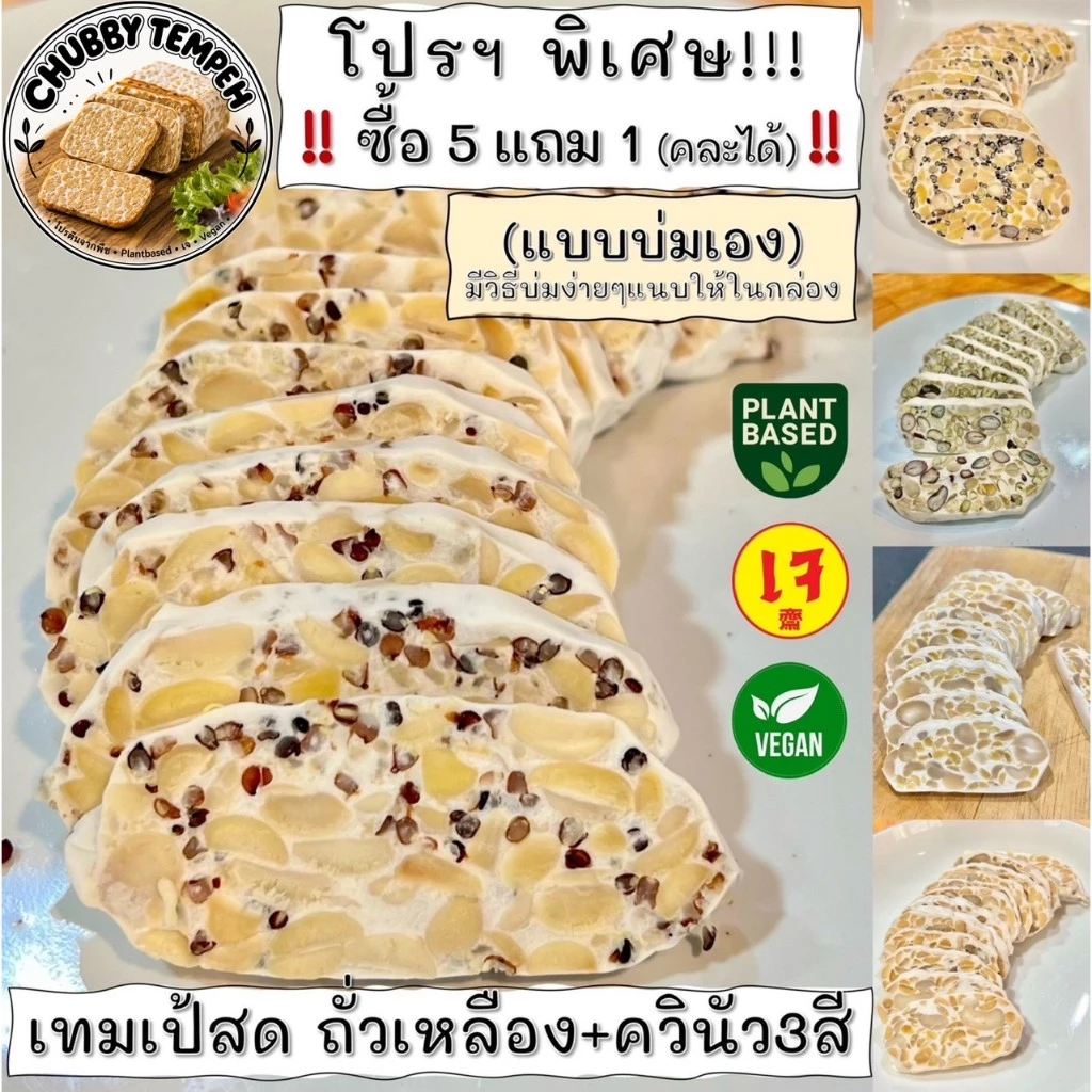 เทมเป้สด ถั่วเหลือง+ควินัว3สี (5แถม1) 100g. (แบบบ่มเอง) โปรตีนจากพืช PlantBased เจ Vegan มังสวิรัติ Tempeh